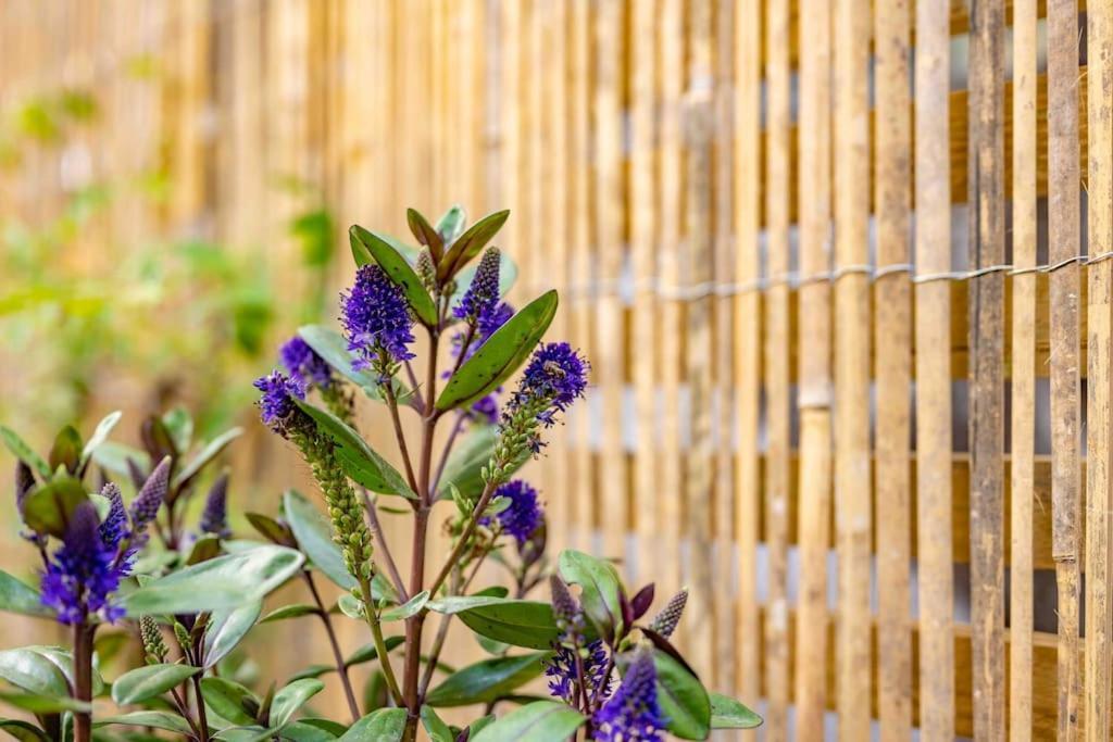 The Lymington Sailor'S Cottage エクステリア 写真